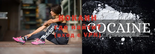 первитин Богданович