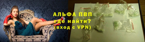 первитин Богданович