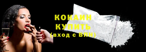 дживик Богородск