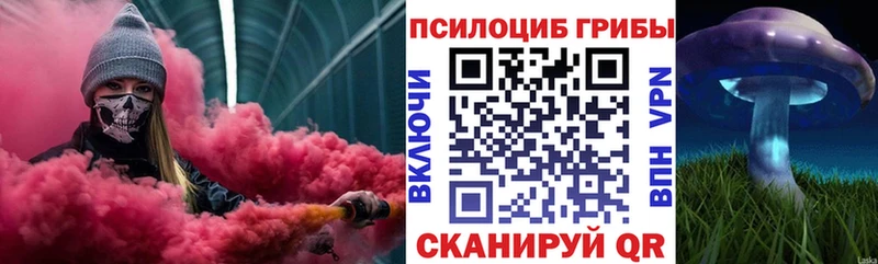 Купить закладки  Сергач  Галлюциногенные грибы мицелий 